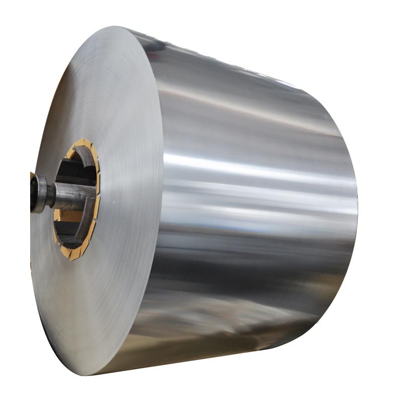 Mr SPCC Electrolitic Tin Plated Coil in acciaio